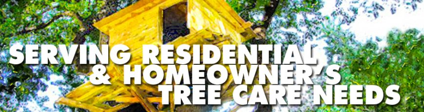 Serving Residential & Homeowner’s Tree Care Needs