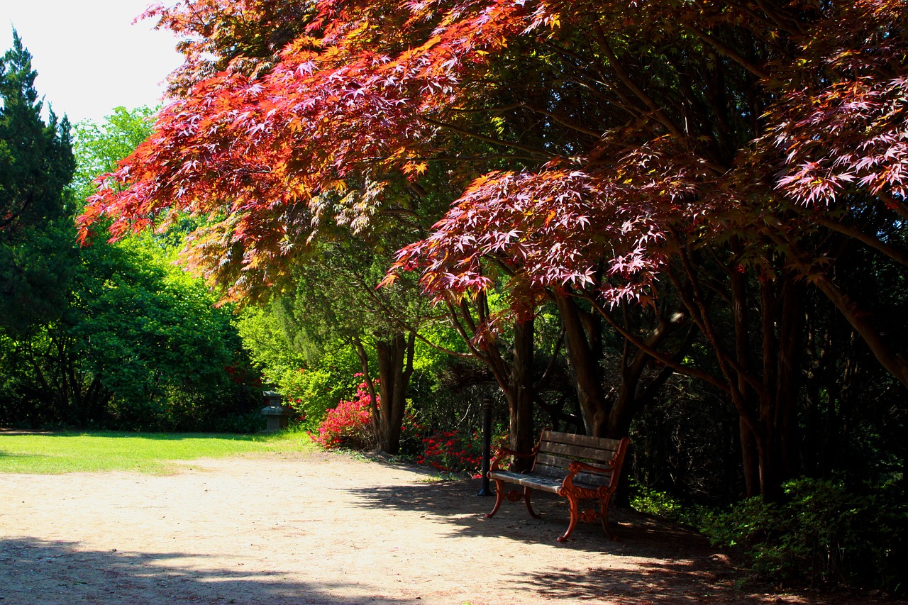 Tree Care Service, Libertyville, IL