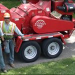 Tree Removal Services, Park Ridge, IL