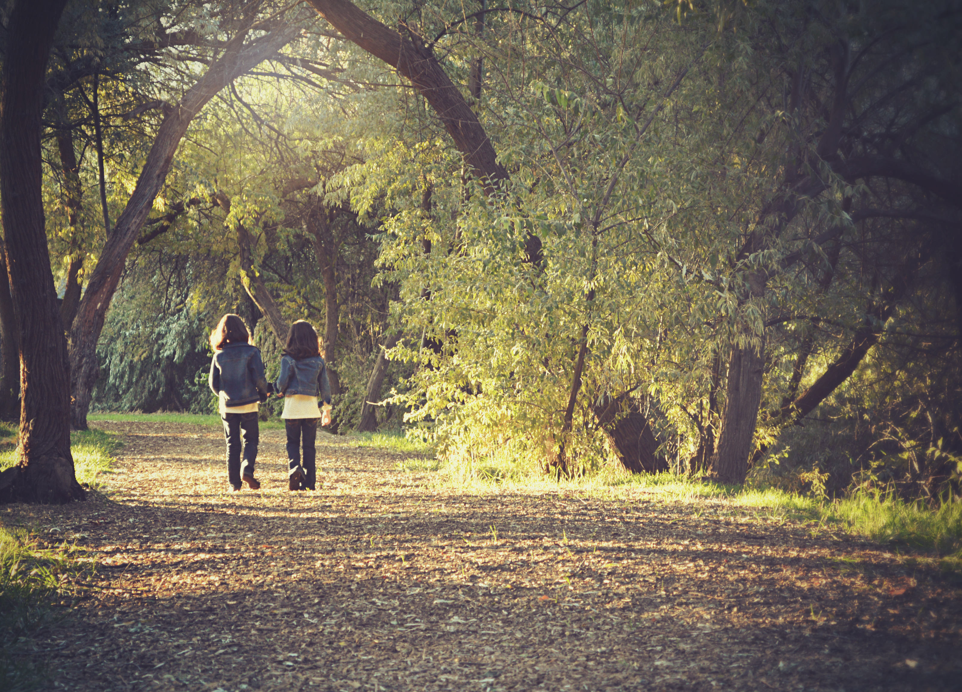 Tree Services and Care, Lake Forest, IL