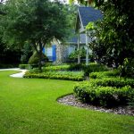 Tree Treatment and Maintenance – Park Ridge, IL