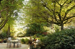 Tree Care Sefty in Chicago, IL