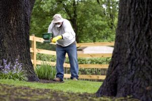 Tree Care Fertilization – Park Ridge, IL