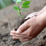 Changing-Plants-to-Match-a-Changing-Climate