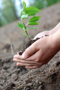 Changing Plants to Match a Changing Climate