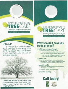 Finding a Reliable Tree Care Service Provider