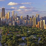 Common Types of Trees in Chicago, IL & Northwest Suburbs