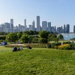 summer-shade-in-chicago-illinois