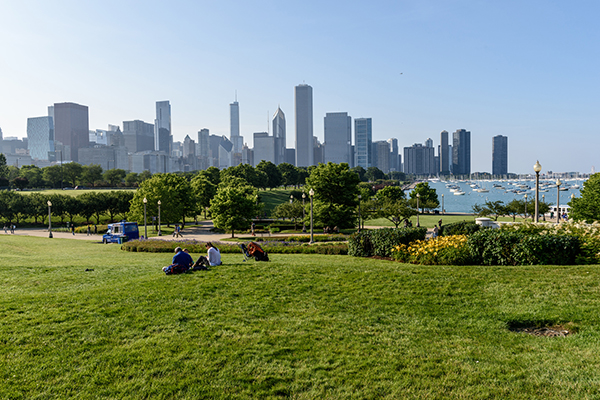 summer-shade-in-chicago-illinois