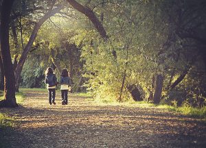 Tree Care Fertilization for Highland Park, IL