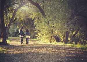 Tree Care Fertilization for North Chicago, IL