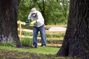 Tree Pruning for Highland Park, IL