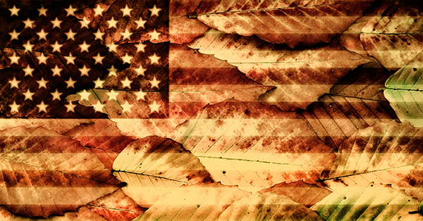 USA Flag over Beech Leaves