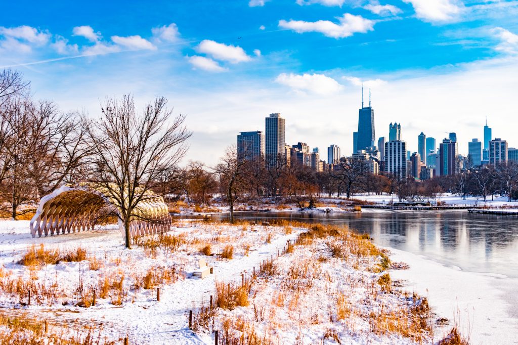 chicago-winter-skyline-trees-park