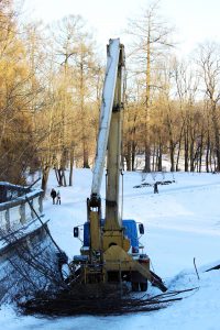 commercial-winter-tree-pruning-chicago-il-parks-forests