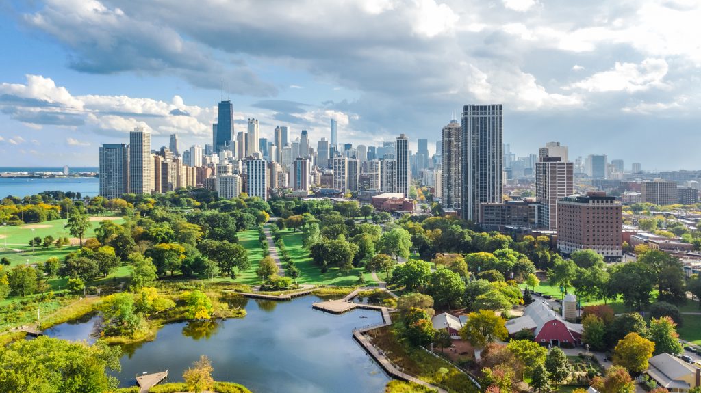 prevent-disease-pests-in-chicago-illinois-trees