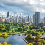 prevent-disease-pests-in-chicago-illinois-trees