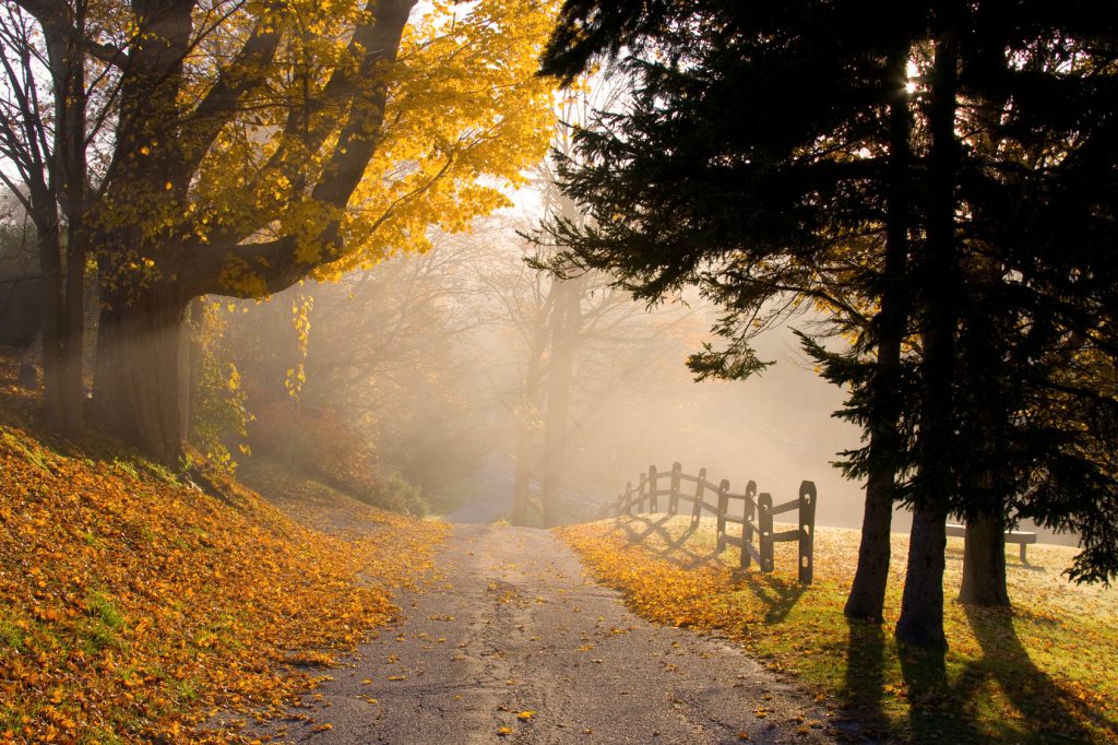 fall-foliage-in-the-berkshires-massachusetts