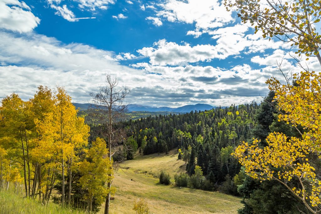 fall-leaf-colors-taos-enchanted-circle-new-mexico