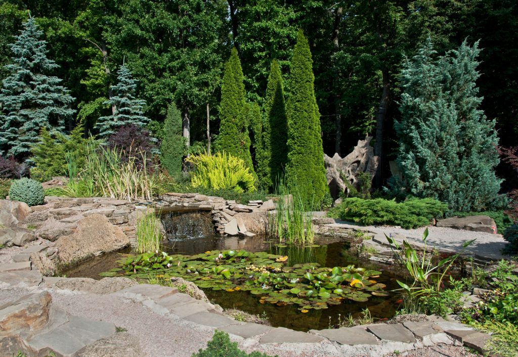 pond-with-trees-chicagoland-backyard