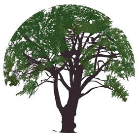 Tree Preservation-min