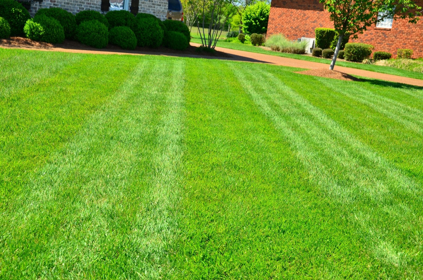 Lawn Fertilization and Weed Control in Illinois