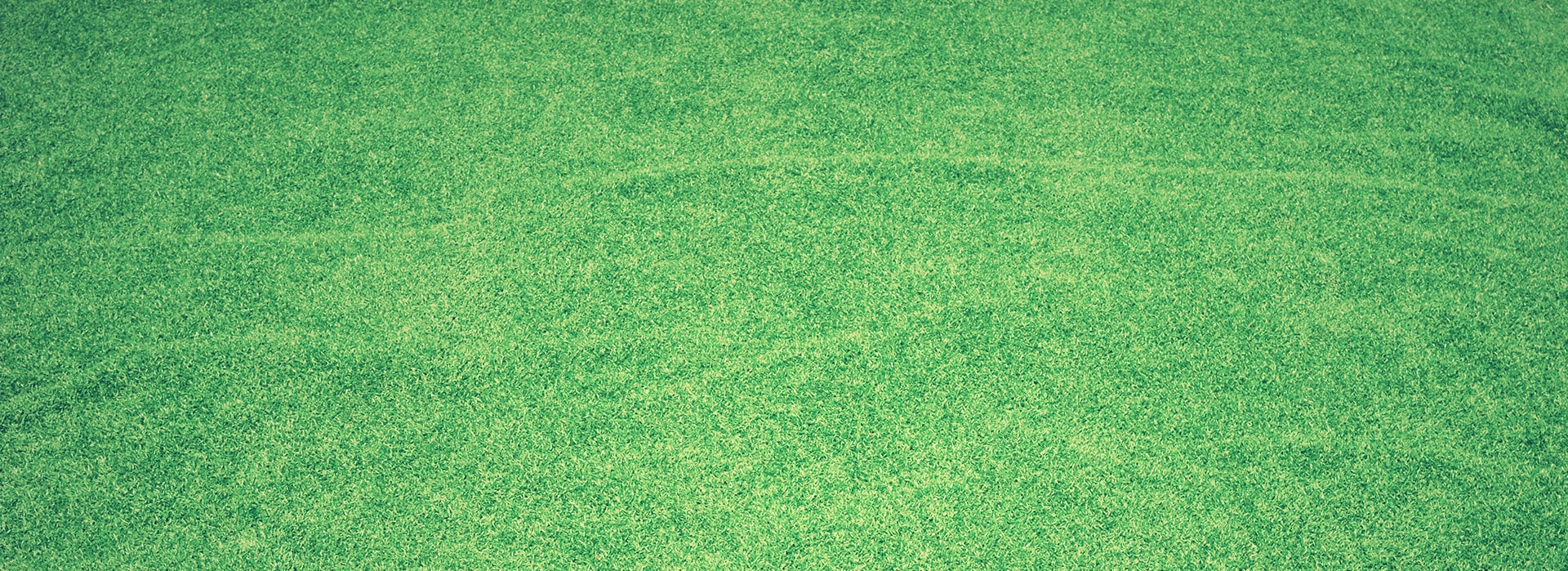 Turf Care Services in Chicagoland