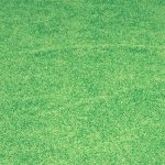Turf Care Services in Mount Prospect, IL