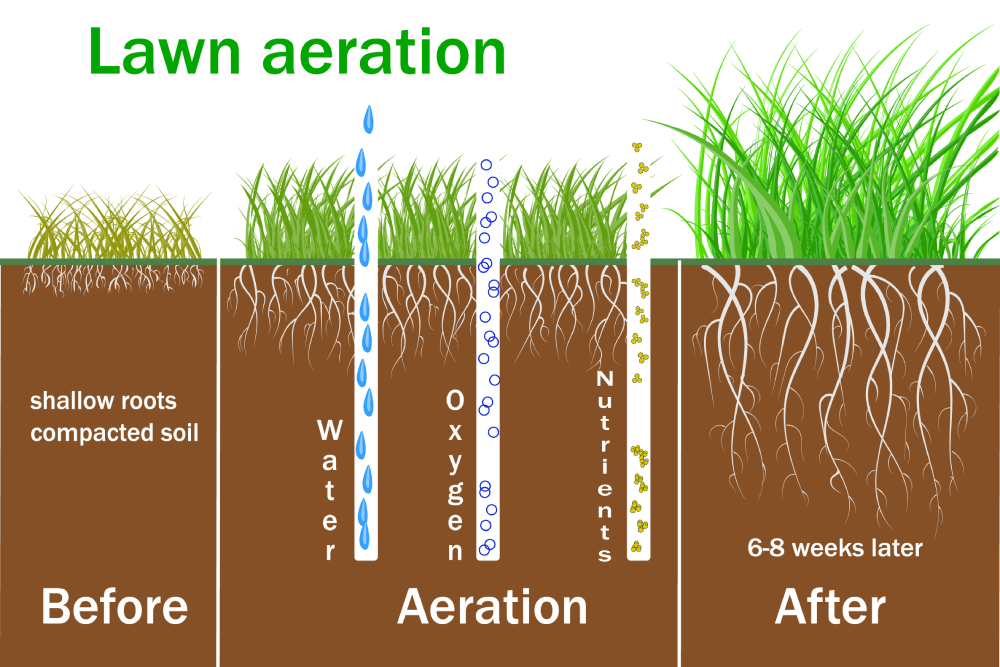 lawn-aerations