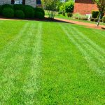 Lawn Fertilization and Weed Control in Palatine, IL