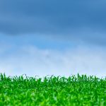 Lawn Aeration and Overseeding in Highland Park, IL