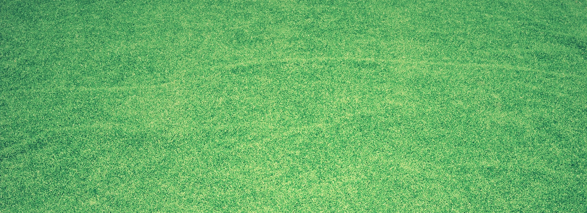 Turf Care Services in Palatine, IL