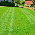 Lawn-Fertilization-and-Weed-Control-in-Lake-Bluff-IL