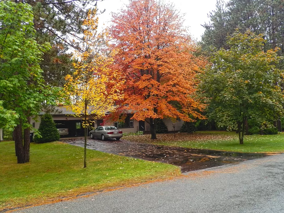 Tree Pruning in Deerfield, IL