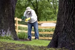 Tree Pruning in Gurnee, IL