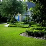 Tree Treatments in Skokie, IL